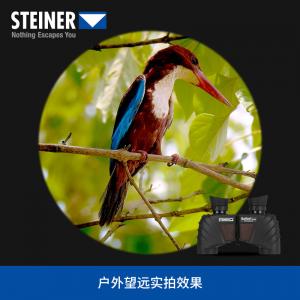 STEINER|德国原装进口视得乐望远镜迷你保罗 便携手机演唱会户外口袋微光夜视足球赛可DIY (8x25)